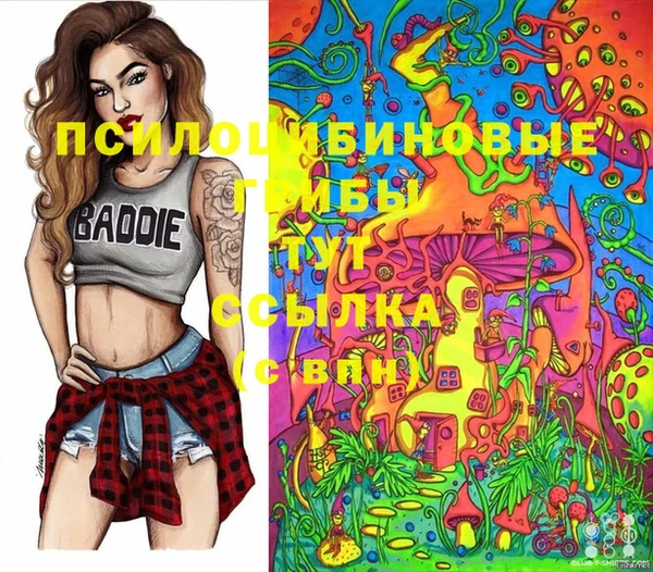 apvp Алексин