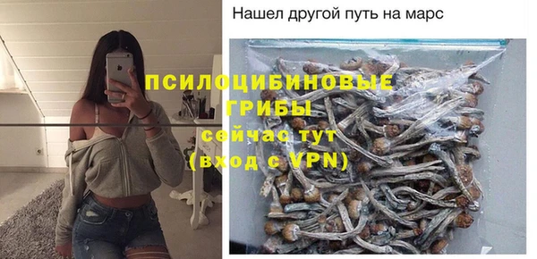 apvp Алексин